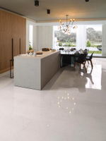 Porcelanosa Bianco Pul. 58.6x118.7