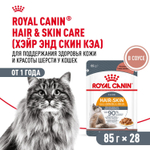 Royal Canin Hair&Skin Care паучи для взрослых кошек для поддержания здоровья кожи и красоты шерсти ломтики в соусе 85г