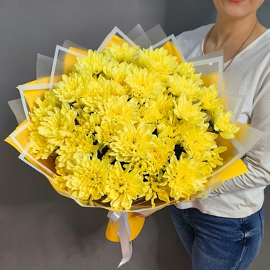 Букет из 7 кустовых хризантем сорта "BALTICA YELLOW"