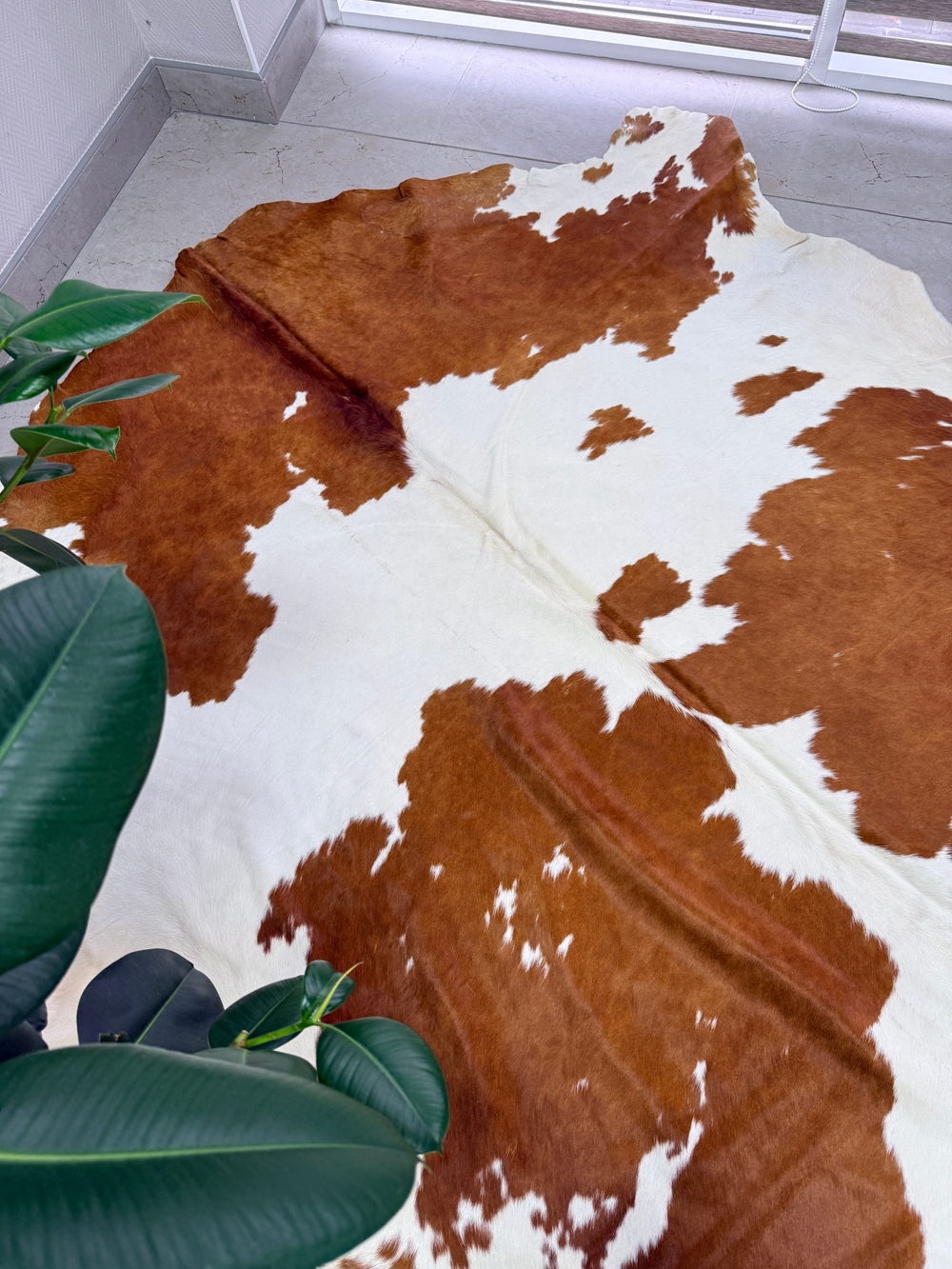 Коровья шкура на пол натуральная.