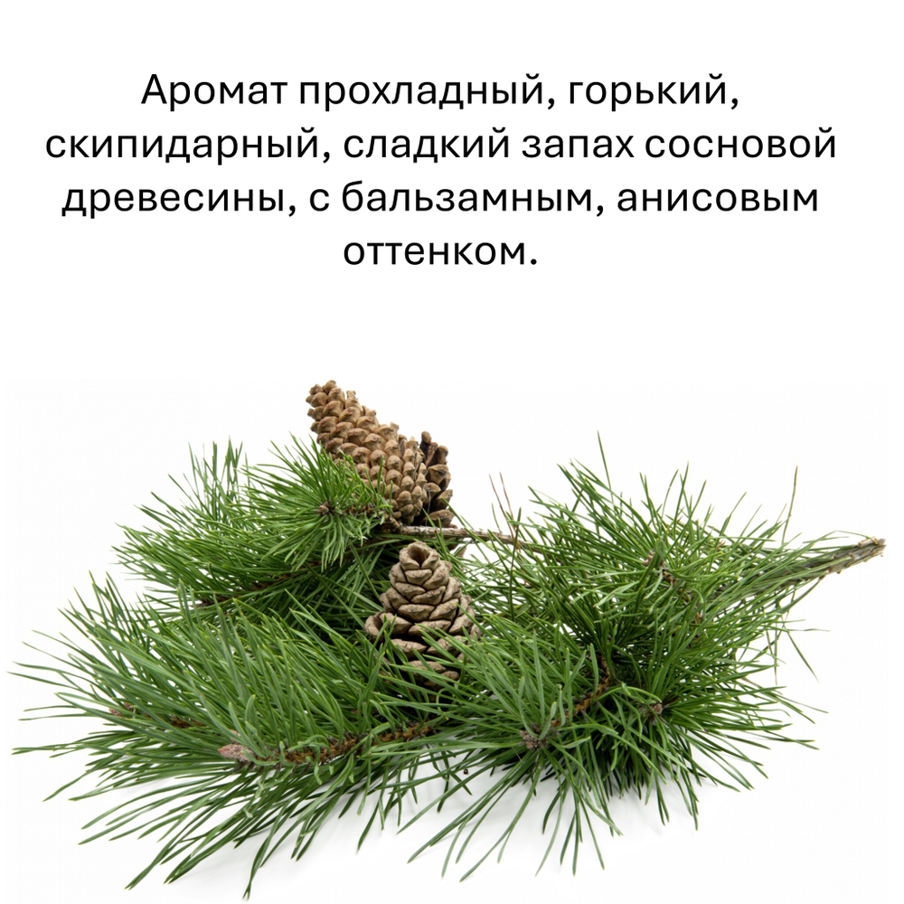 Сосна, кубики восковые для ароматизации, 10 штук