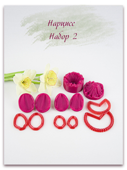 Нарцисс. Набор 2. Крупный