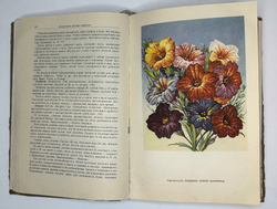Г. Киселёв. Цветоводство., изд. 1949 г. Подарочное издание с цветными иллюстрациями.