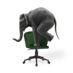 Офисное кресло Woodville Пард изумрудный