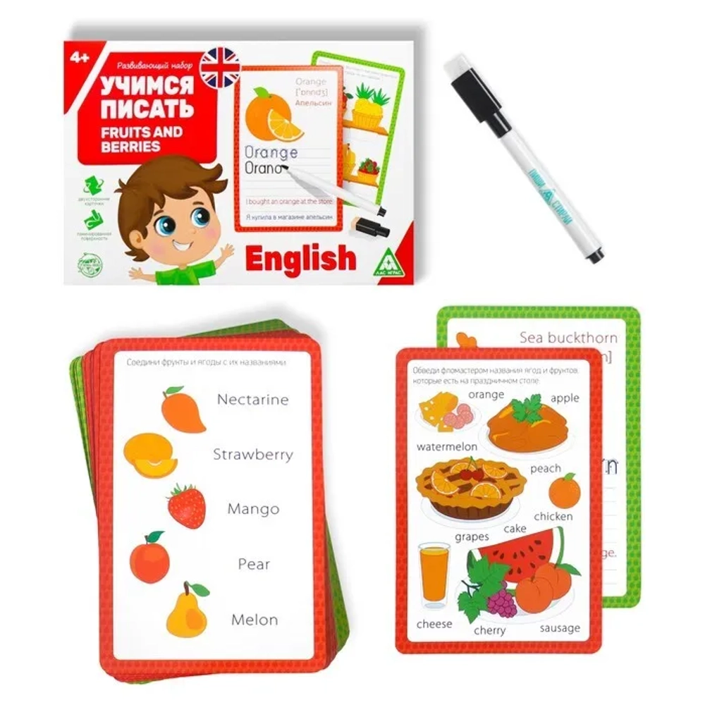 Развивающий набор пиши-стирай «Учимся писать. Fruits and berries», 15 карт + маркер