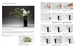 Inspiring Ikebana