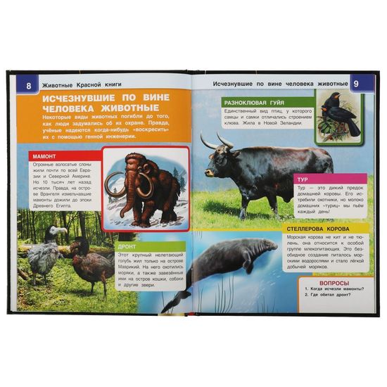 Энциклопедия А4 с дополненной реальностью 4D. ЖИВОТНЫЕ КРАСНОЙ КНИГИ. 197х255мм,48 стр. Умка