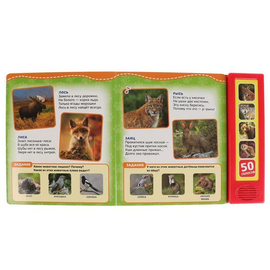 Говорящая энциклопедия. Лесные животные Степанов В.А. (5 кн. 50 звуков) 200х175мм 10стр Умка