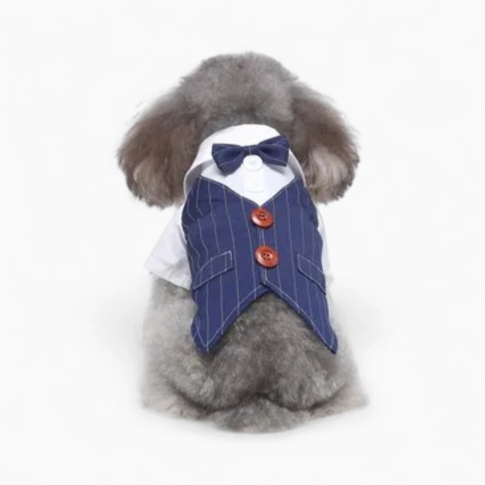 Костюм «Вечер»