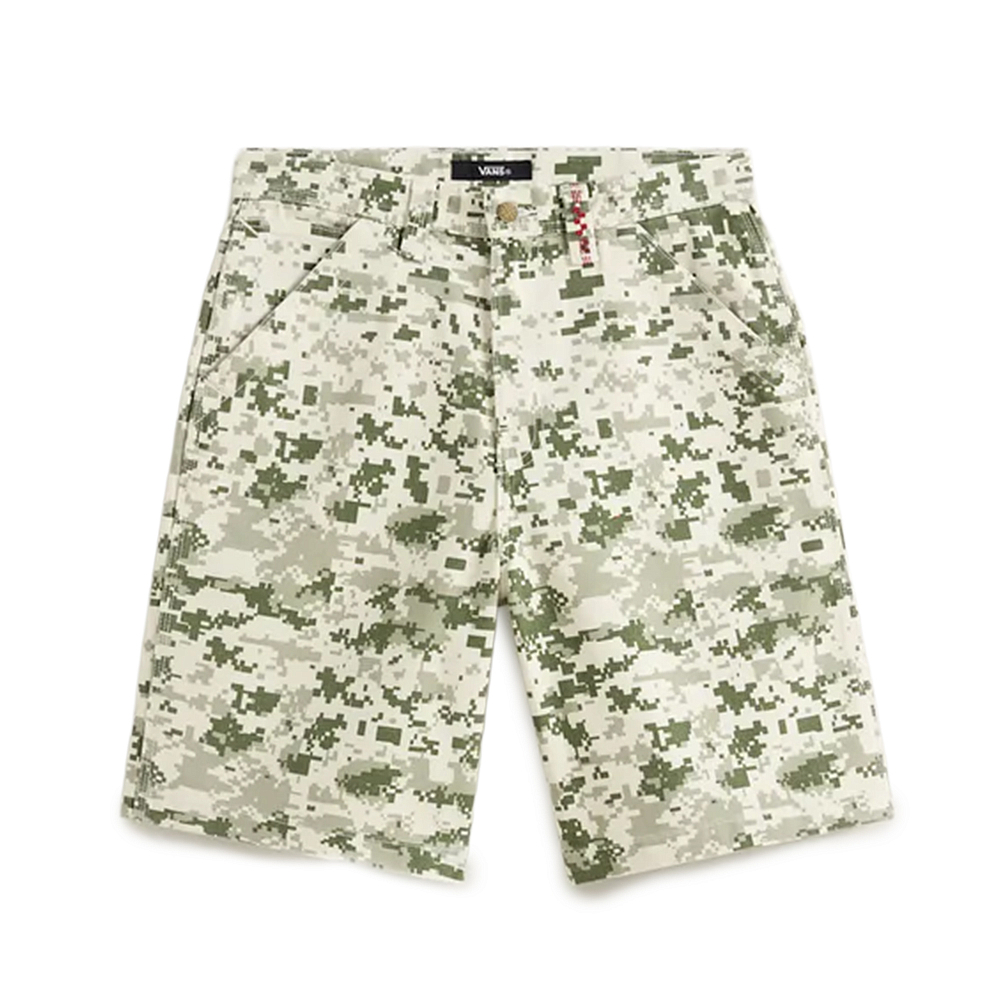 Мужские шорты Vans Check-5 Baggy Canvas Short