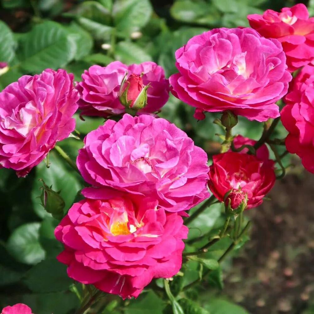 Аутта зе Блю (Outta the Blue)