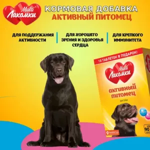 Лакомство MultiЛакомки Активный питомец для собак, 100 таб.