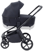 Детская коляска Rant Flex Therm Soft 3 в 1 с автокреслом Evomax Grey Midnight Black