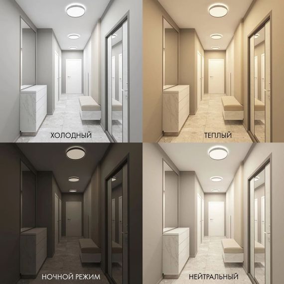 Потолочный светодиодный светильник Denkirs DK6511-WH/1