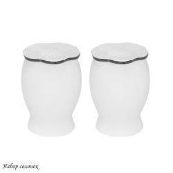 Lenardi 205-600 Набор солонок MAGNOLIA SILVER в под.уп.(х48)Фарфор