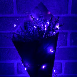 ULD-S0200-020-SСB-2AA PURPLE IP20 DEW Гирлянда светодиодная Роса на батарейках 2AA не в-к. 2м. 20 светодиодов. Фиолетовый свет. Провод медный. TM Uniel