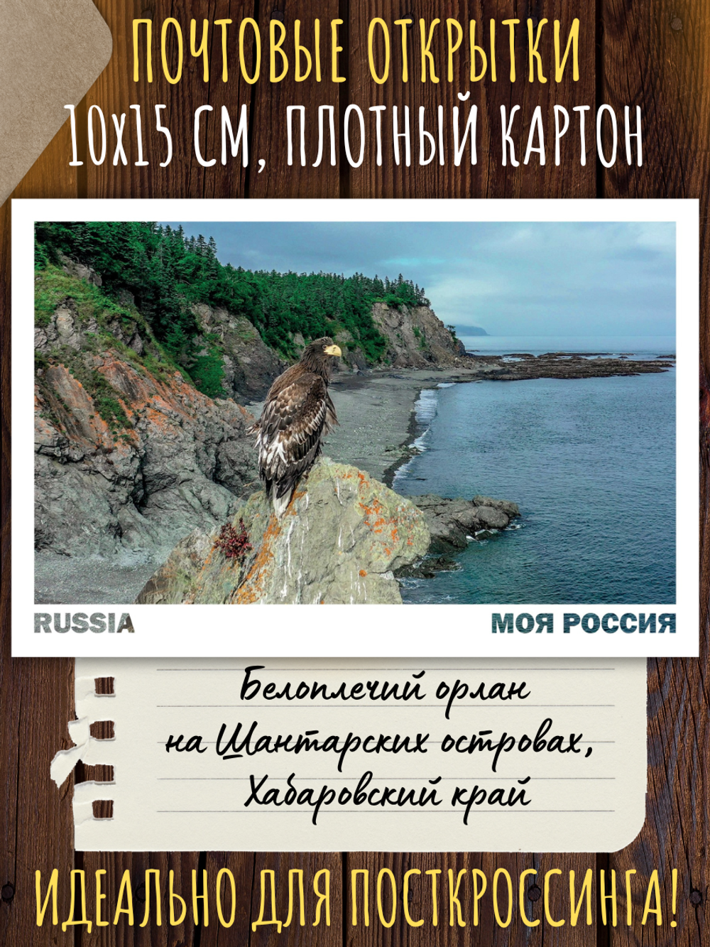 Моя Россия. Птицы