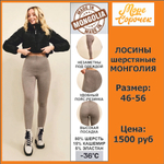 [m]Лосины женские Монголия без рисунка Ш003