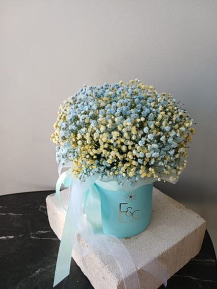 Цилиндр радужной гипсофилы