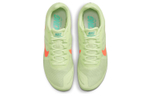 Кроссовки Nike Zoom Rival D 10