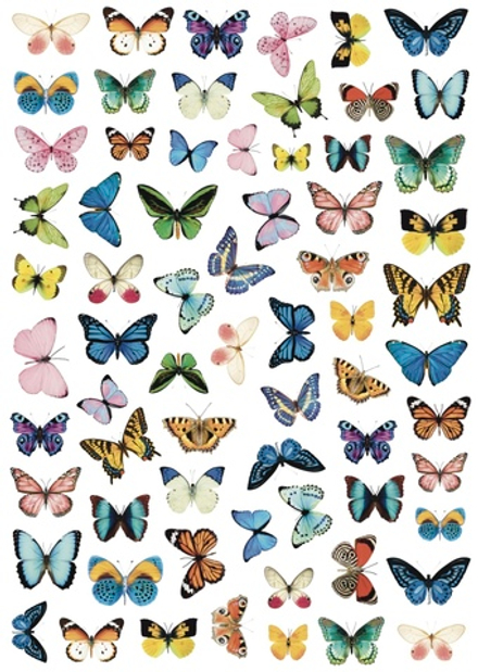 Слайдер-дизайн Crazy Shine Nails mini: Бабочки