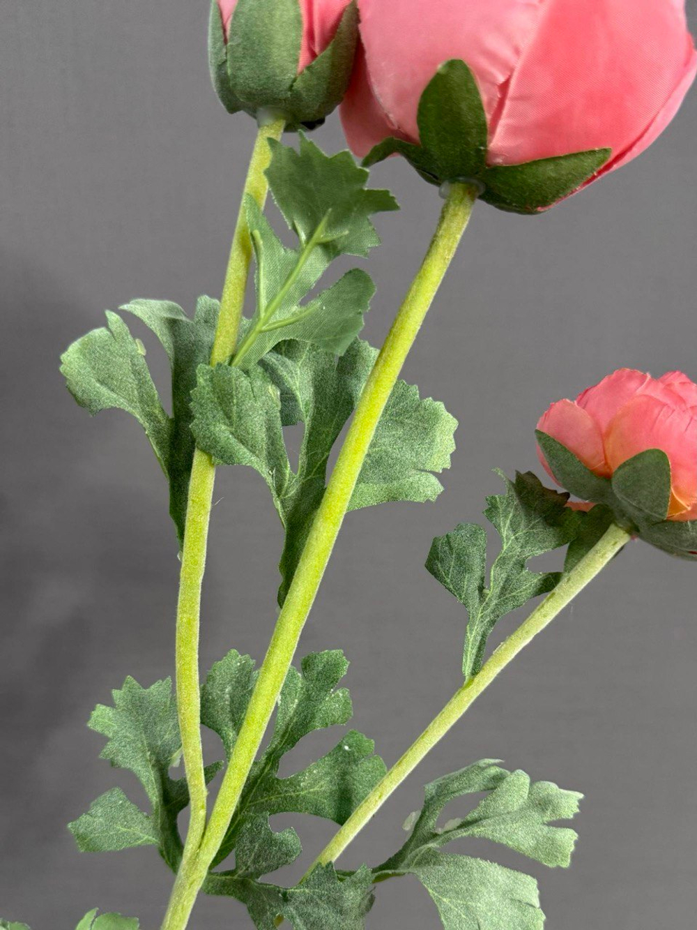 Ранункулюс розовый (h73 см)