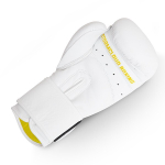 Боксерские перчатки StormCloud Boxing Pro белые