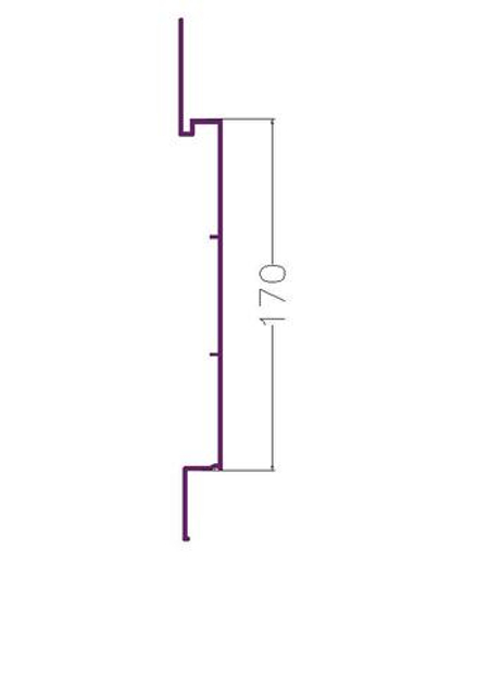 RD 200 Рейка алюминиевая (6,0) RAL