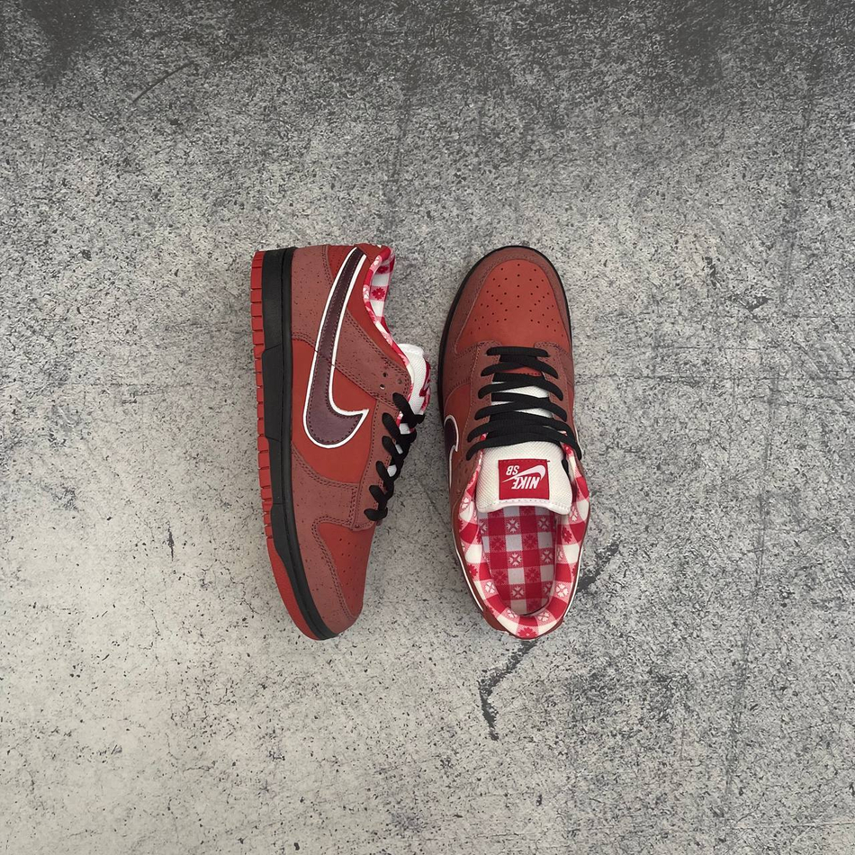 photo_2025-11-22_16-36-22