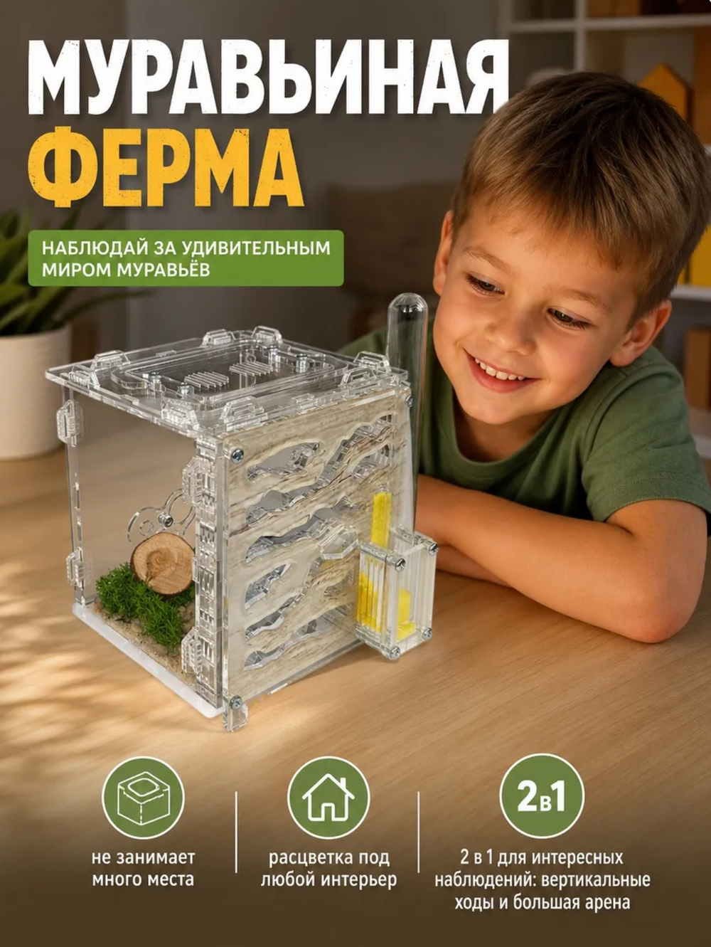 Ферма «Кубик Светлое дерево» + Колония муравьёв «Макси» + Микс корма