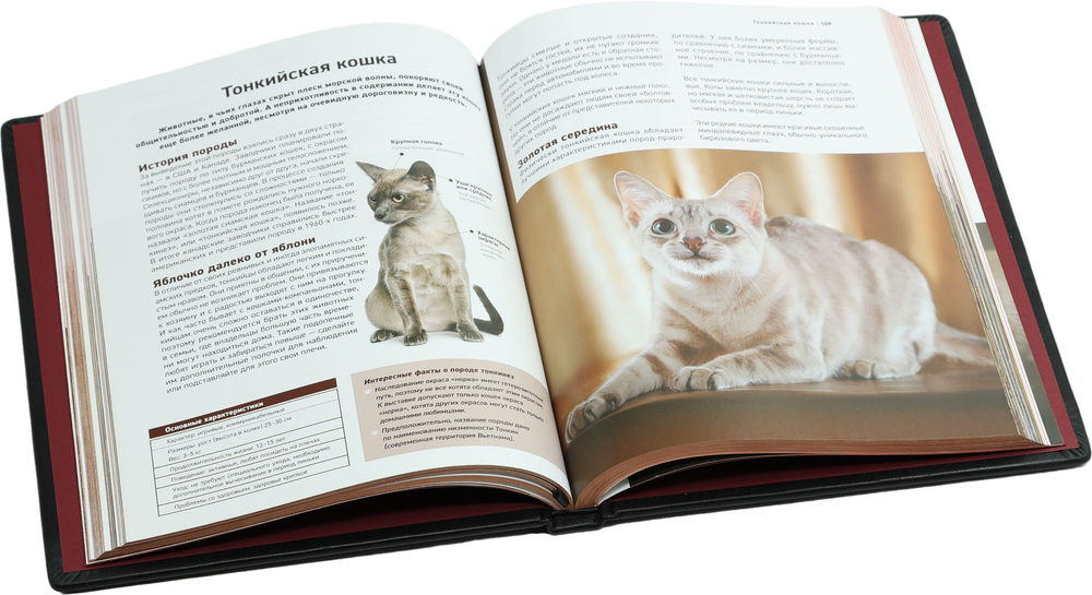 Все породы кошек