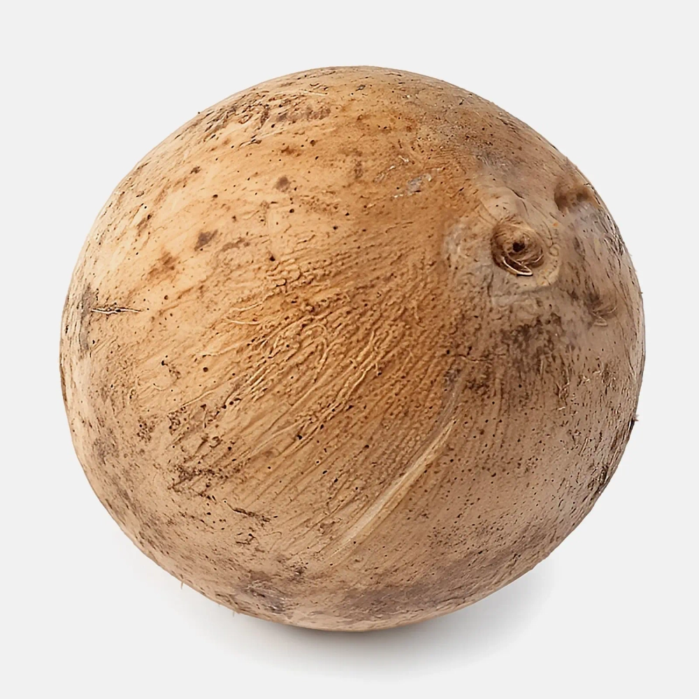 Кокос питьевой 1шт