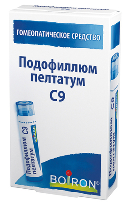 Подофиллюм пелтатум (Podophyllum peltatum) C9 Буарон