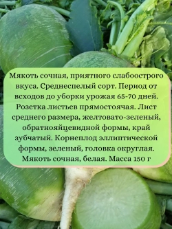 Семена Редька китайская Хозяюшка 5 гр