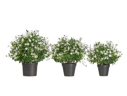 Альпийское разнотравье куст Малый белый в-40 см, д-40 см 6/18 20.0224072WH-S