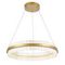 Подвесной светодиодный светильник ST Luce Cherio SL383.213.01