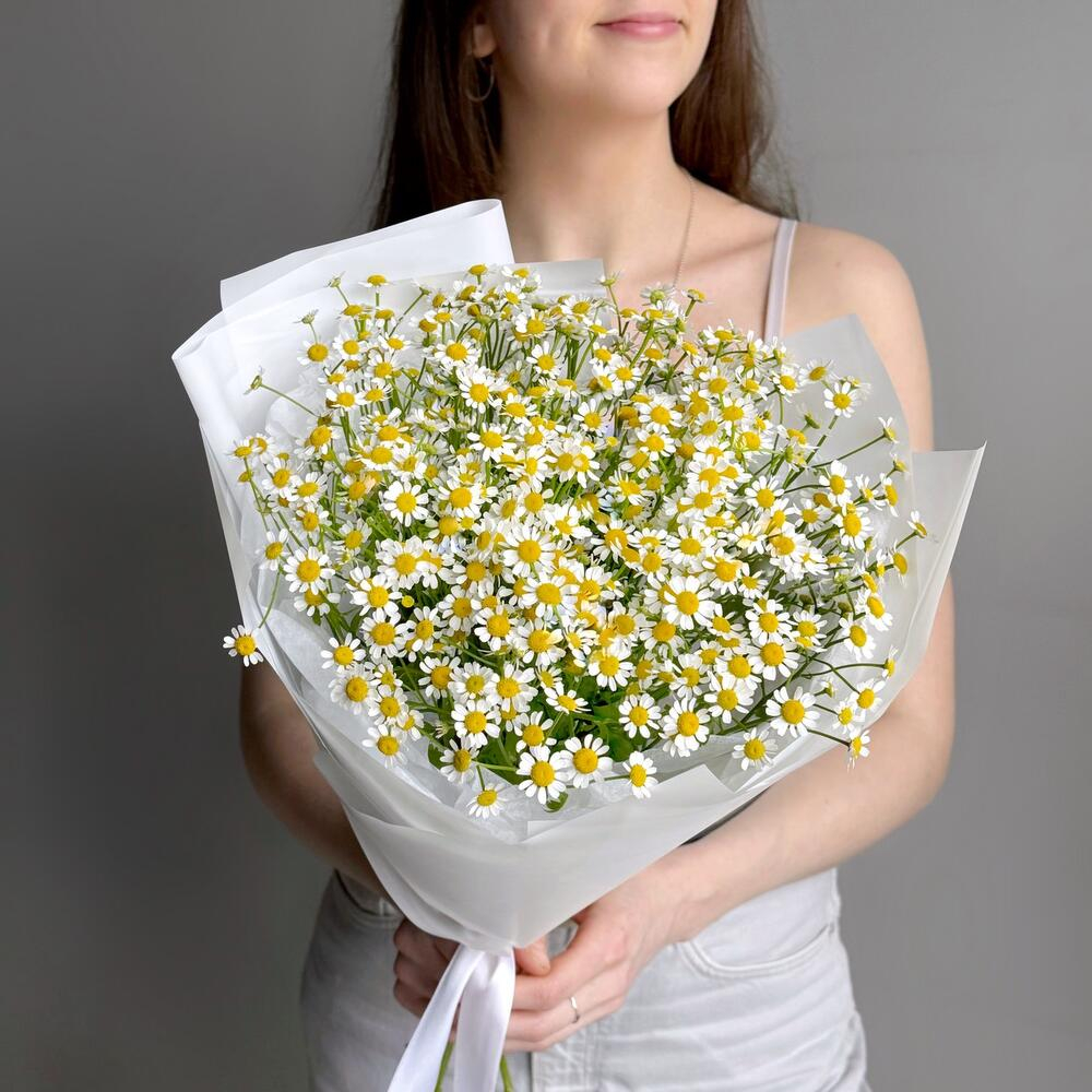 Полевой букет голландская ромашка кустовая матрикария