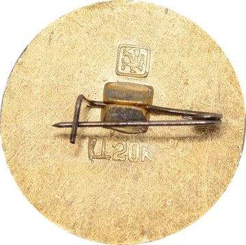 Значок "Золотое Кольцо, Кинешма" булавка