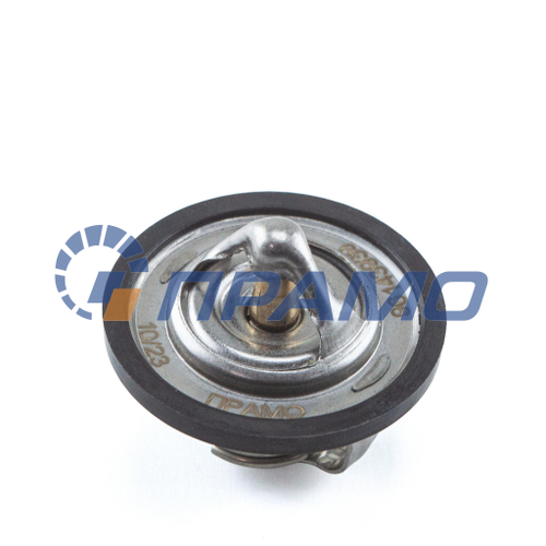 96143939 (ПРАМО) Термостат б/к