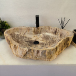 Раковина из окаменелого дерева FossilBasin OD-62435 81*49*15