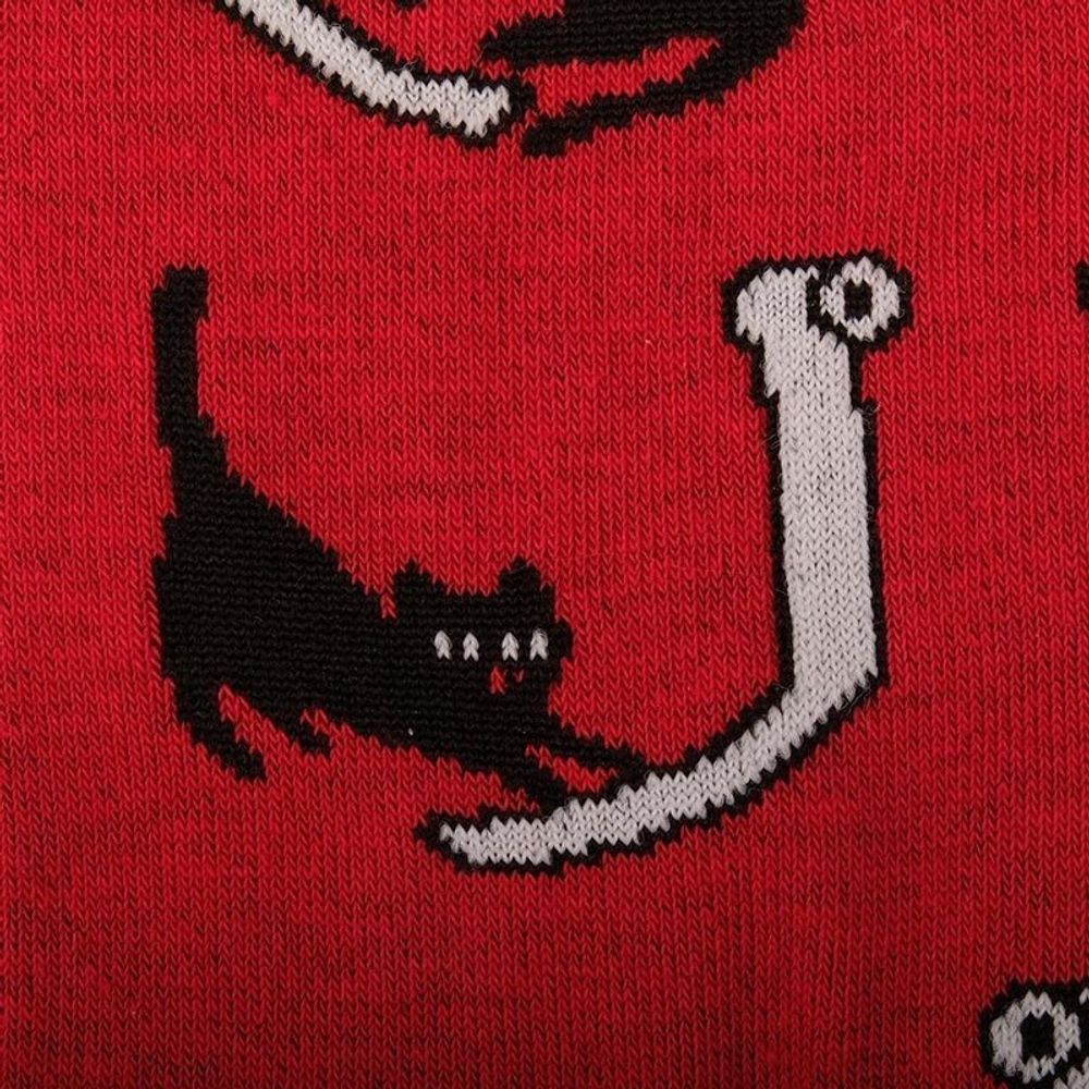 Носки Кошки За Бумажной Работой