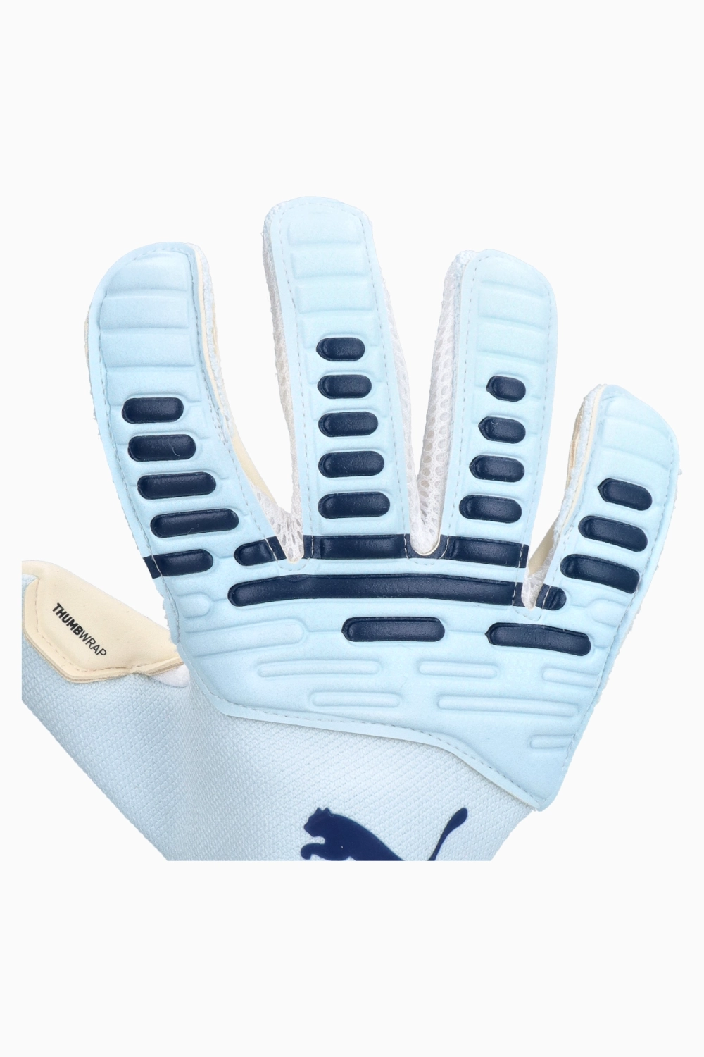 Вратарские перчатки Puma Future Pro Hybrid - голубой