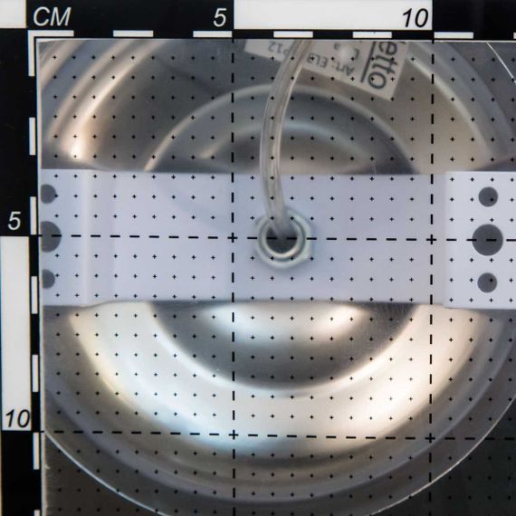 Подвесная светодиодная люстра Citilux Diva EL339P06