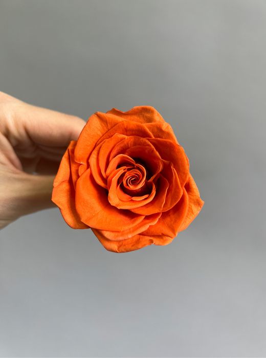 Роза классическая шафран d=3,5-4 см (упак 10 шт)