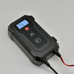 Автоматическое зарядное устройство BERKUT Specialist BC-08A