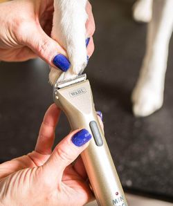 Триммер для стрижки животных Wahl miniArco (1565-0473)