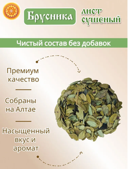 Лист брусники.