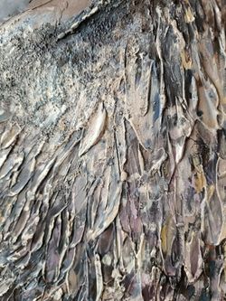 Интерьерная картина, 50x40 см