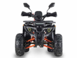 Квадроцикл GRIZZLY Aerox 125