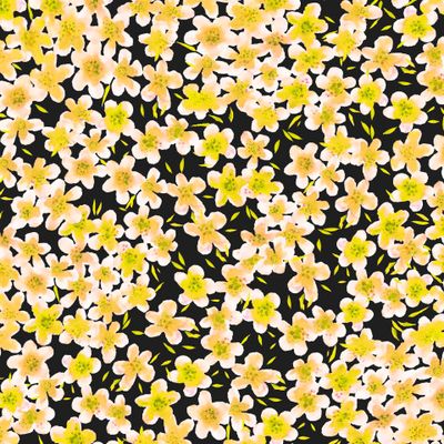 Желтые цветы на чёрном фоне